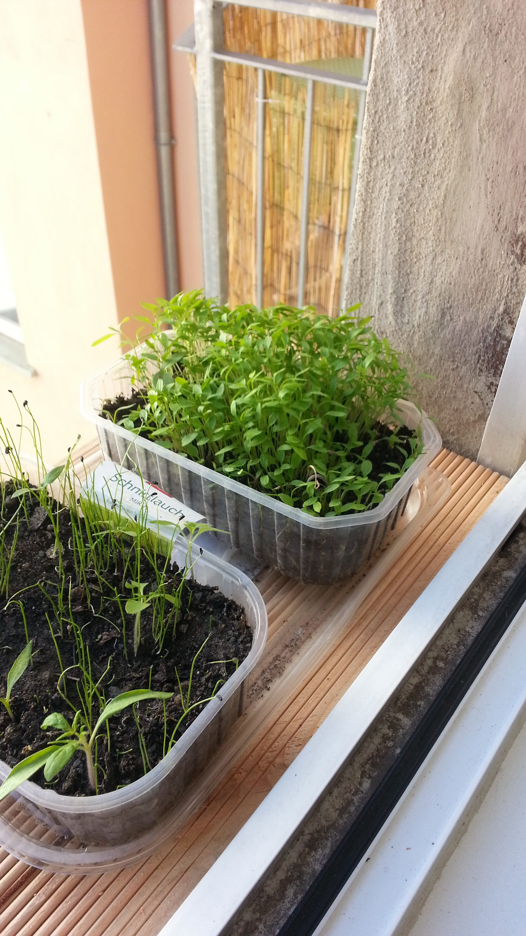 DIY Fensterbrett für Kräuter